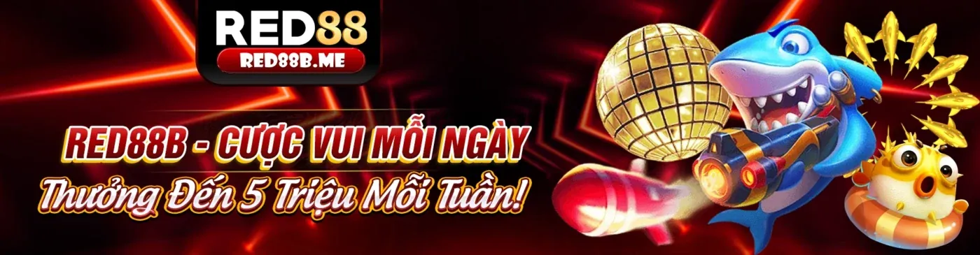 Hình ảnh chính blog Pum88: Tin tức, hướng dẫn và khuyến mãi